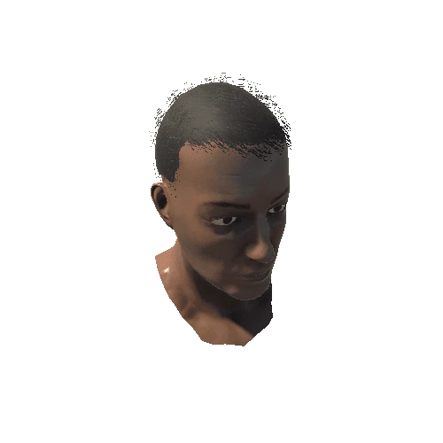 L_Head_2_Skin Variant